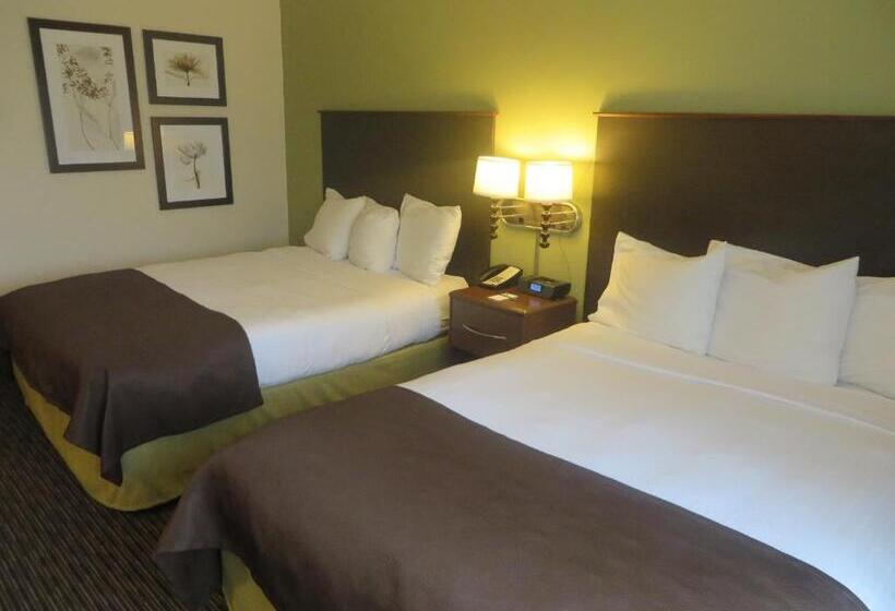 Chambre Standard, Americinn By Wyndham Rice Lake