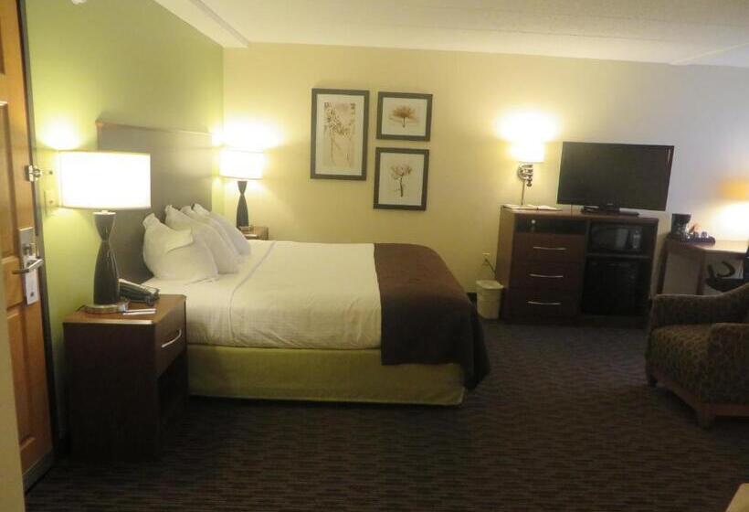 Standard Studio King Bed, Americinn By Wyndham Rice Lake