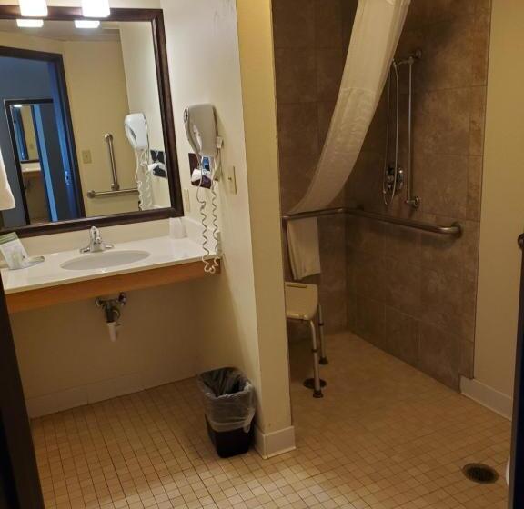 Standard Single Room Adapted for people with reduced mobility, Americinn By Wyndham Rice Lake