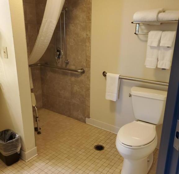 Standard Single Room Adapted for people with reduced mobility, Americinn By Wyndham Rice Lake