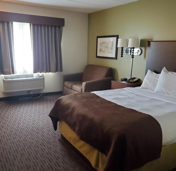 Standard Single Room Adapted for people with reduced mobility, Americinn By Wyndham Rice Lake