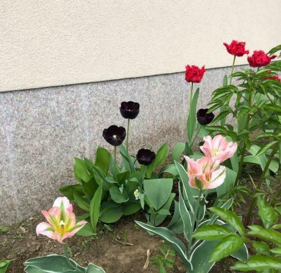 带1个卧室的豪华别墅, Villa Jerman