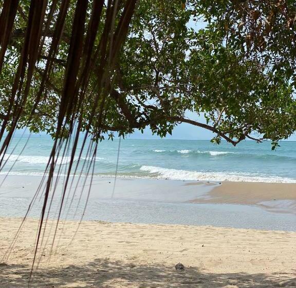 اتاق سه نفره دلوکس با چشم‌انداز دریا, Maleiwa Beach