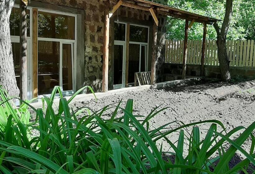اتاق استاندارد با چشم‌انداز کوهستان, Bjnihouse, Guest House