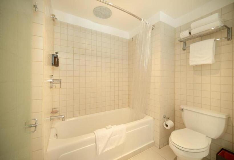 סוויטת ג'וניור מיטת קינג, Decapolis Hotel Panama City