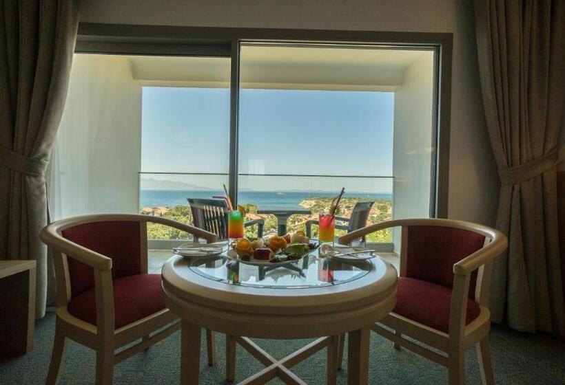 اتاق استاندارد با چشم‌انداز دریا, Grand Hotel Ontur Cesme