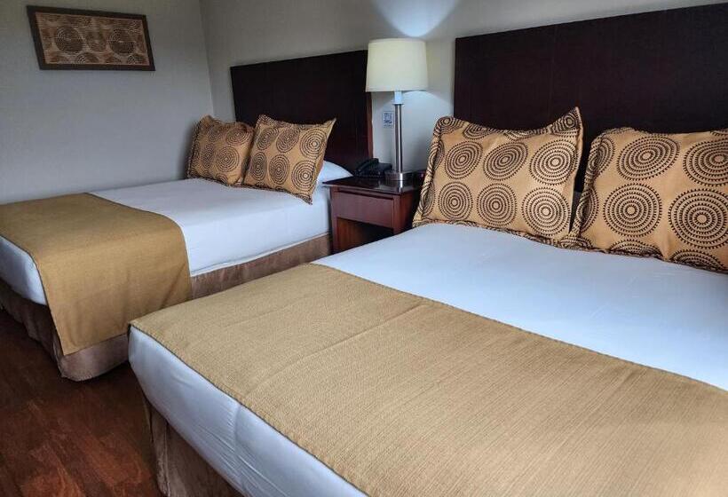 اتاق لوکس, Gh Guaparo Inn
