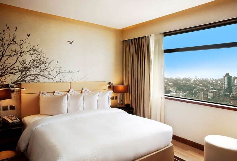 高级套房, Hilton Colombo Residence
