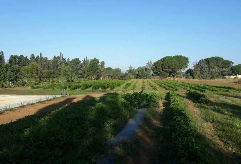 اتاق استاندارد با تخت بزرگ, Azienda Agricola I Peperoncini