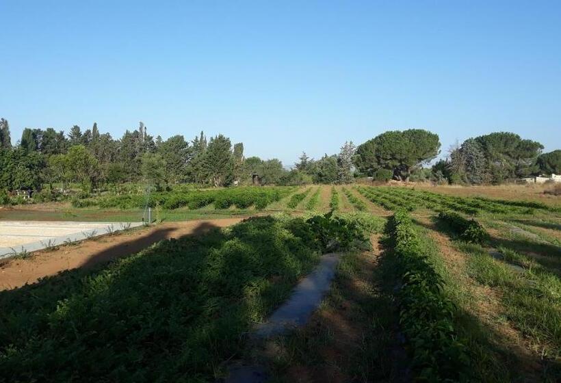 اتاق لوکس سه تخته, Azienda Agricola I Peperoncini