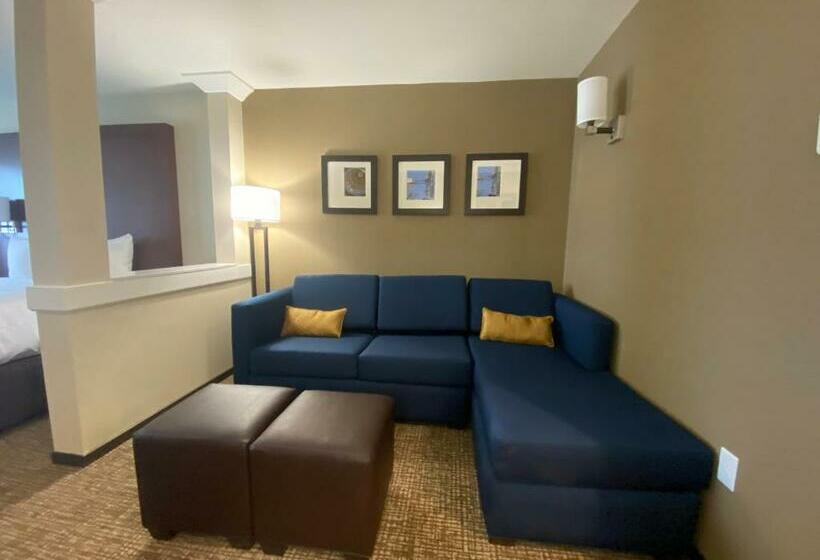 اتاق استاندارد برای معلولان, Comfort Suites Midland West