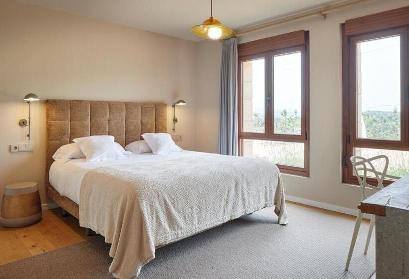اتاق استاندارد با تراس, Olivi1948   Boutique Guest House
