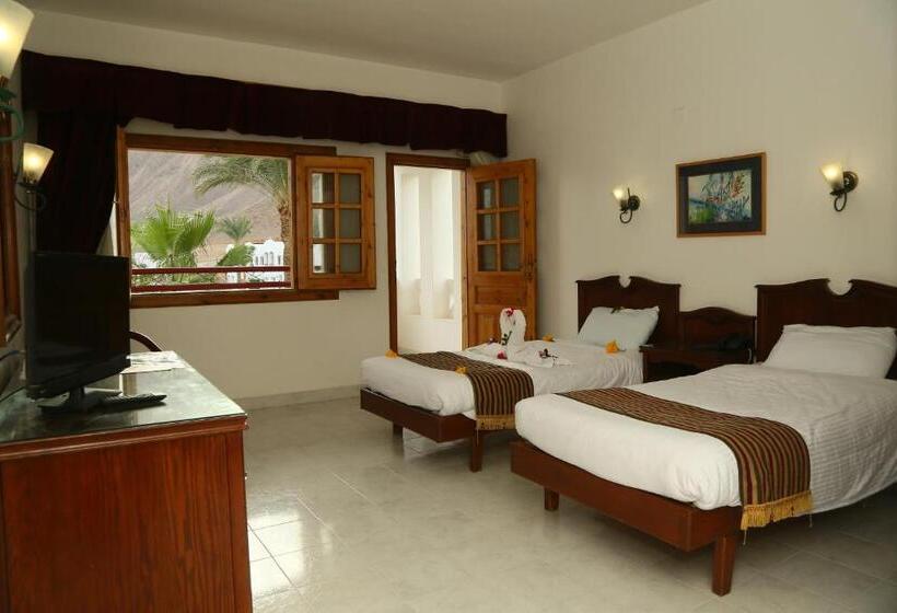 Standard Room Mountain View, Happy Life Village Dahab