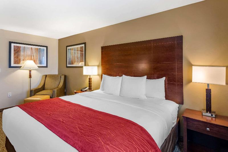 اتاق لوکس با تخت بزرگ, Courtyard By Marriott Warsaw Airport