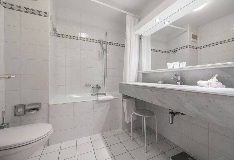 اتاق سوپریور, Des Bains De Saillon