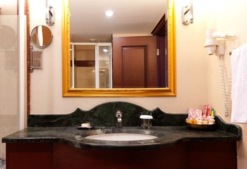 اتاق استاندارد یک نفره, Gordion Hotel   Special Class
