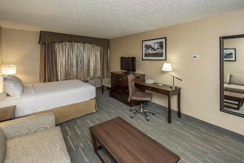 اتاق استاندارد با تخت دو نفره بزرگ, Holiday Inn Lethbridge