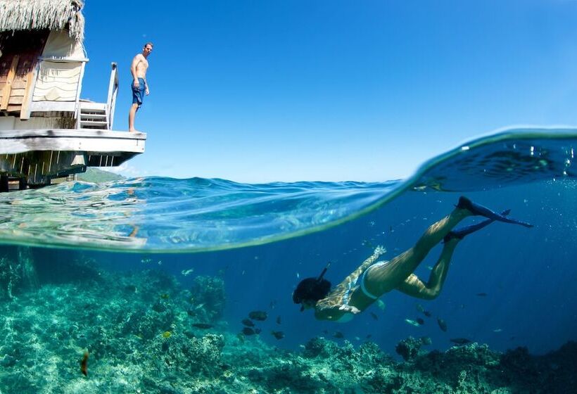 بانگلوی ممتاز, Manava Beach Resort & Spa Moorea