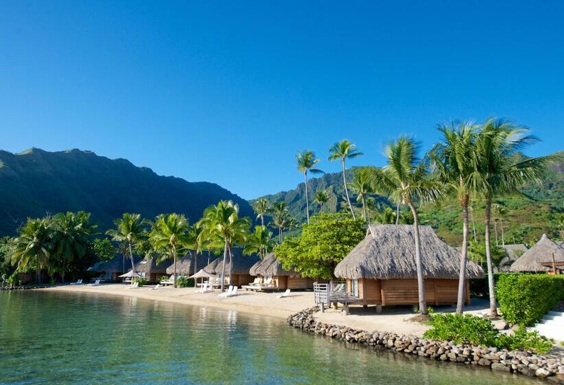 بانگلوی استاندارد, Manava Beach Resort & Spa Moorea