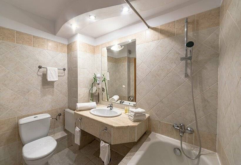 اتاق استاندارد با چشم‌انداز شهر, Alexandrion Experience