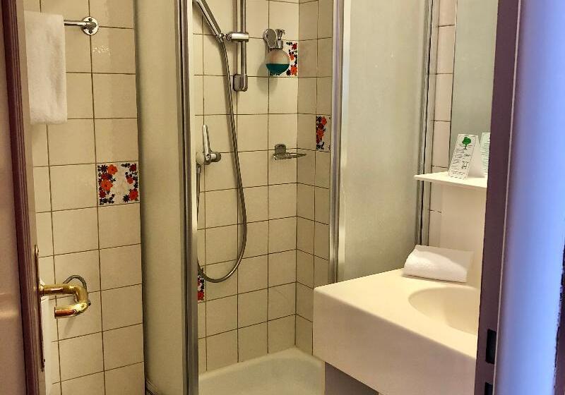スタンダードシングルルーム, Thermal Hotels & Walliser Alpentherme Leukerbad
