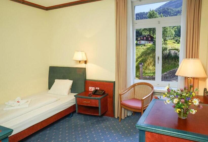 シングルデラックスルーム, Thermal Hotels & Walliser Alpentherme Leukerbad
