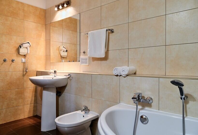 استودیوی استاندارد, Great Polonia Kraków Airport   Ex Hotel Witek