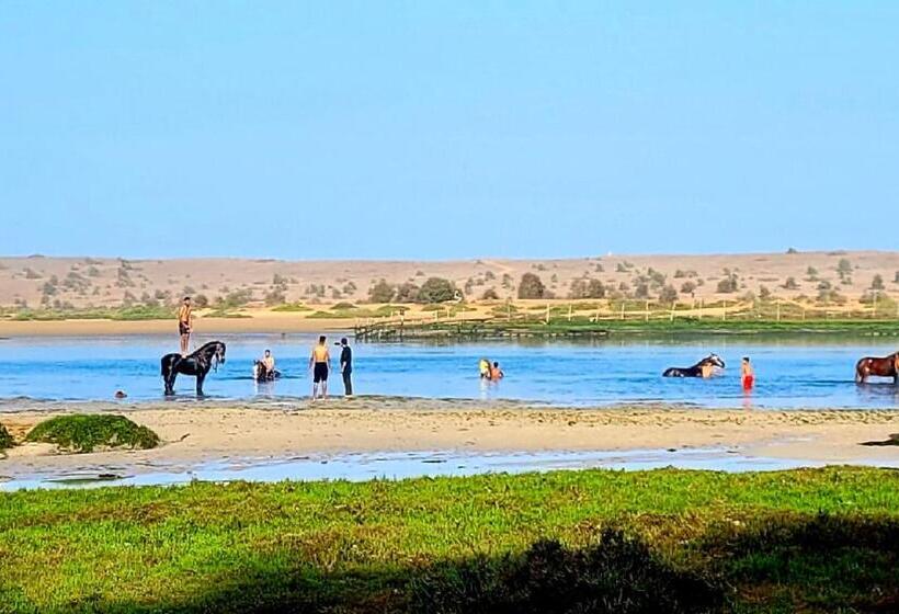 آپارتمان 1 خوابه, Maison De La Lagune