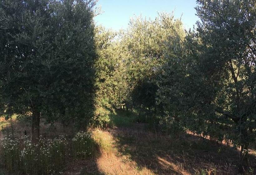 خانه 1 خوابه, Casa Vacanze Soleluna
