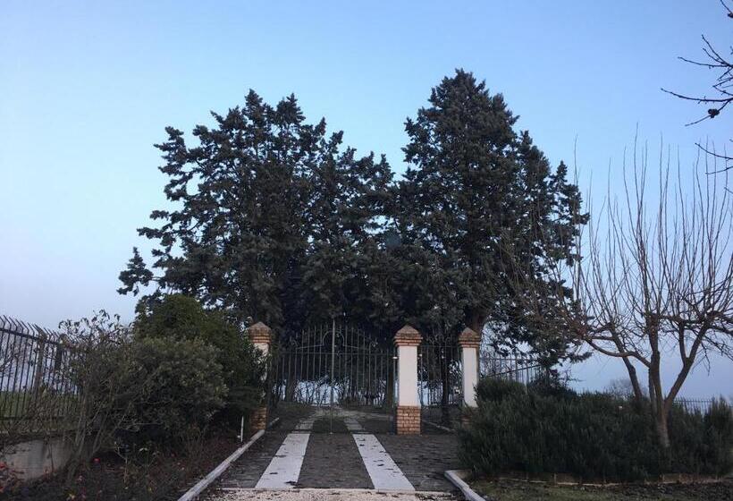 خانه 1 خوابه, Casa Vacanze Soleluna