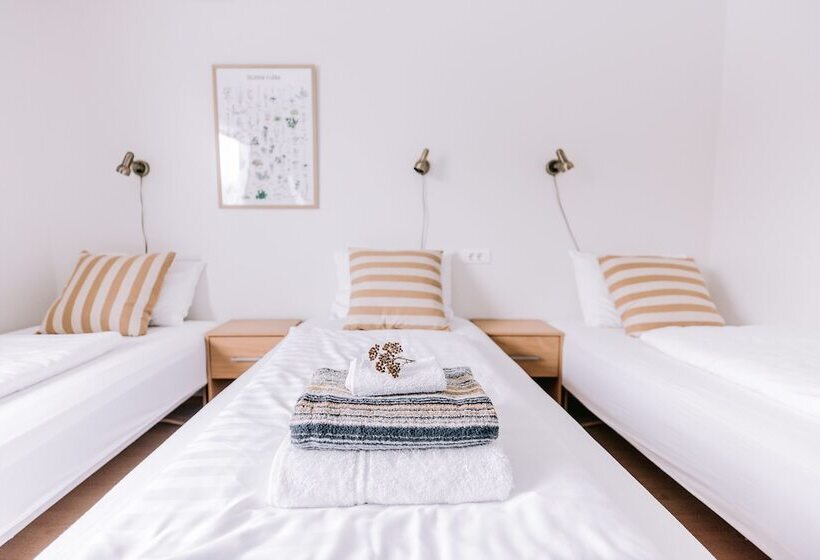 اتاق استاندارد سه تخته با سرویس بهداشتی مشترک, Elda Guesthouse