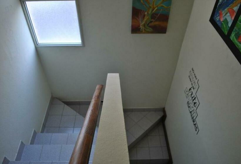 تختخواب در اتاق مشترک, Ruca Kiñe Hostel
