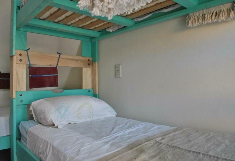 تختخواب در اتاق مشترک, Ruca Kiñe Hostel