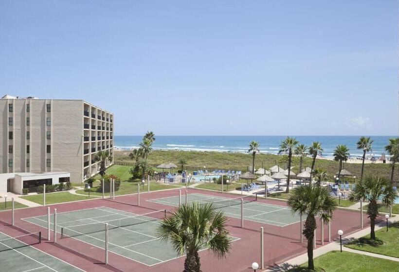 آپارتمان 1 خوابه با چشم‌انداز دریا, Saida