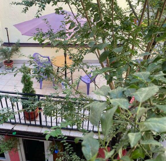 آپارتمان 1 خوابه, Zani Hostel