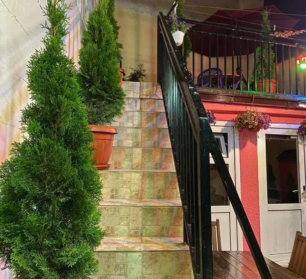 آپارتمان 1 خوابه, Zani Hostel