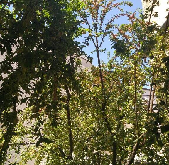 آپارتمان لوکس 1 خوابه, Zani Hostel