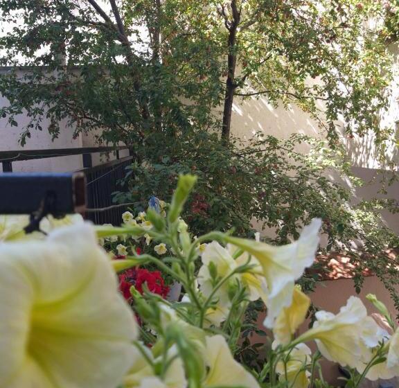 آپارتمان لوکس 1 خوابه, Zani Hostel