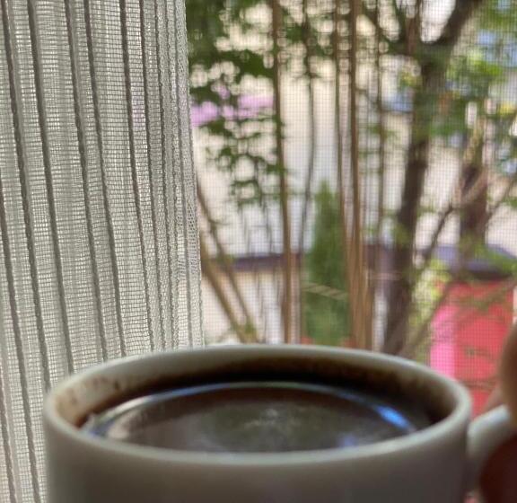 اتاق استاندارد سه تخته با چشم‌انداز باغ, Zani Hostel