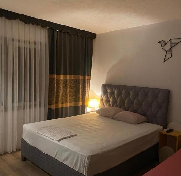 استودیو خانوادگی, Zani Hostel