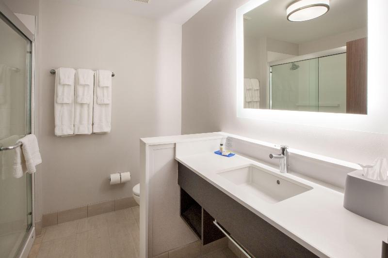 سوئیت با تخت بزرگ, Holiday Inn Express & Suites   Harrisburg S   Mechanicsburg, An Ihg