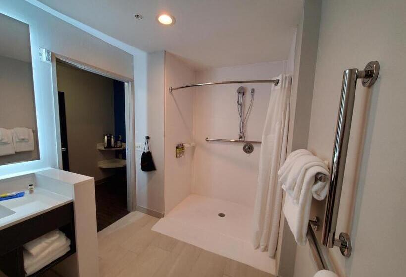 اتاق استاندارد با تخت بزرگ برای معلولان, Holiday Inn Express & Suites   Harrisburg S   Mechanicsburg, An Ihg