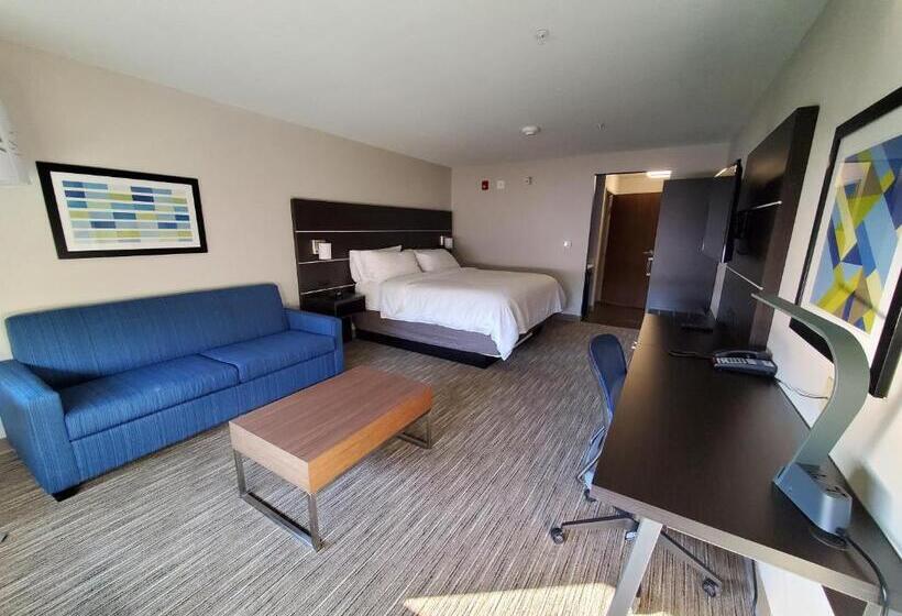 اتاق استاندارد با تخت بزرگ برای معلولان, Holiday Inn Express & Suites   Harrisburg S   Mechanicsburg, An Ihg