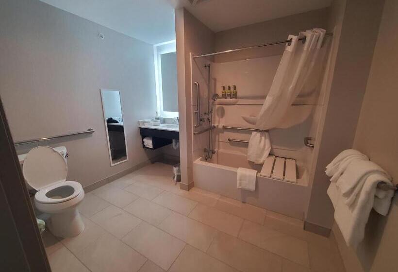 اتاق استاندارد برای معلولان, Holiday Inn Express & Suites   Harrisburg S   Mechanicsburg, An Ihg