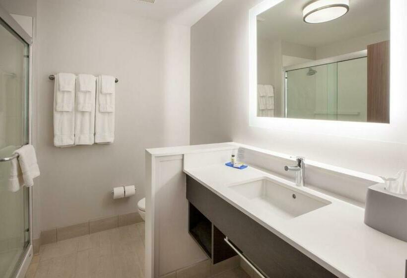 اتاق استاندارد, Holiday Inn Express & Suites   Harrisburg S   Mechanicsburg, An Ihg