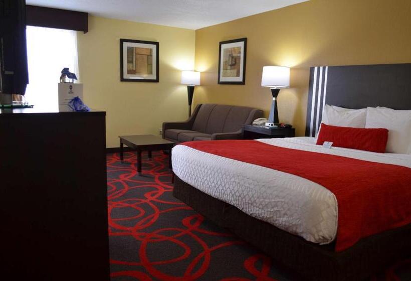 اتاق استاندارد با تخت بزرگ برای معلولان, Best Western Classic Inn