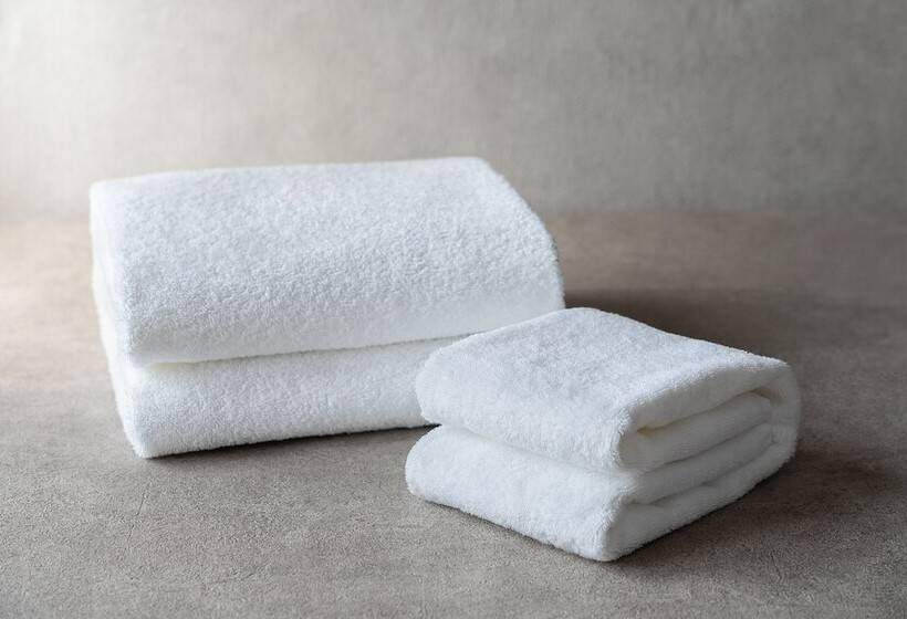 اتاق استاندارد, Mercure Toyama Tonami Resort & Spa