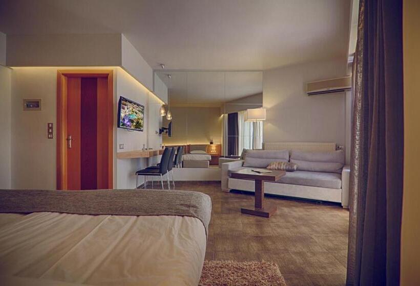 带海景的标准房, Heliotrope Hotels