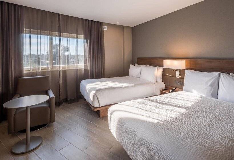 اتاق استاندارد با 2 تخت دوبل, Ac Hotel By Marriott Guadalajara Expo