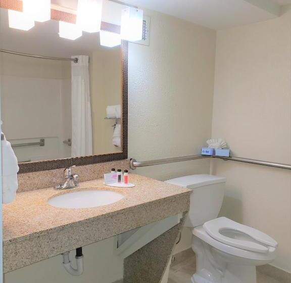 اتاق استاندارد با تخت بزرگ برای معلولان, Best Western Fishers Indianapolis Area